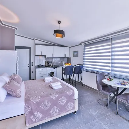 Guest house White House 2*