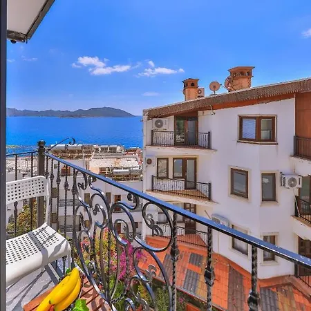 게스트하우스 White House