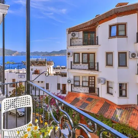 게스트하우스 White House