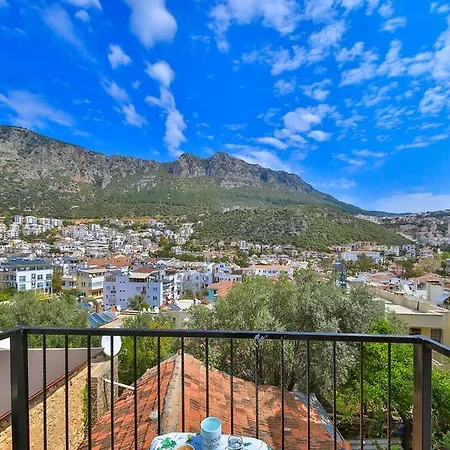 게스트하우스 White House