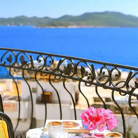 White House 게스트하우스